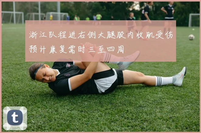 浙江队程进右侧大腿股内收肌受伤预计康复需时三至四周
